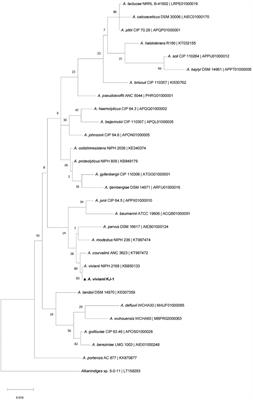 Complete genome sequence analysis of a novel alkane-degrading bacterial strain, Acinetobacter vivianii KJ-1, and its diesel degradation ability